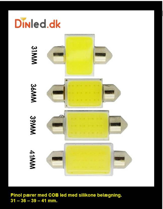 LED pinol kabinelys  31-36-39-41mm, 12v