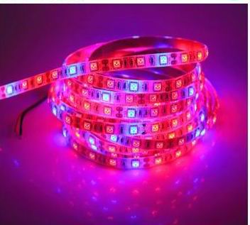 5 meter, 12 volt, 60 watt, IP20 LED gro lys bånd