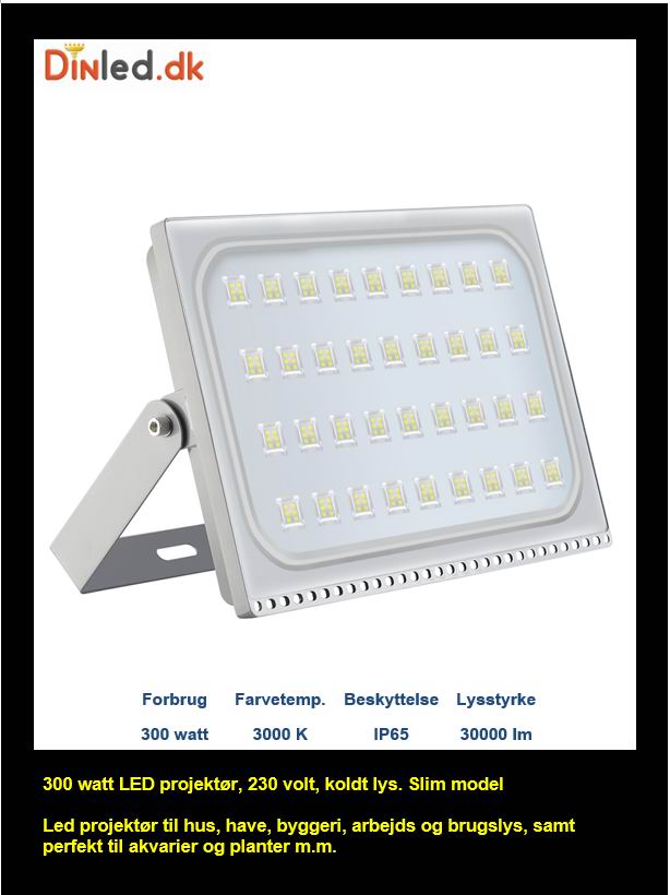 300w Professionel LED projektør